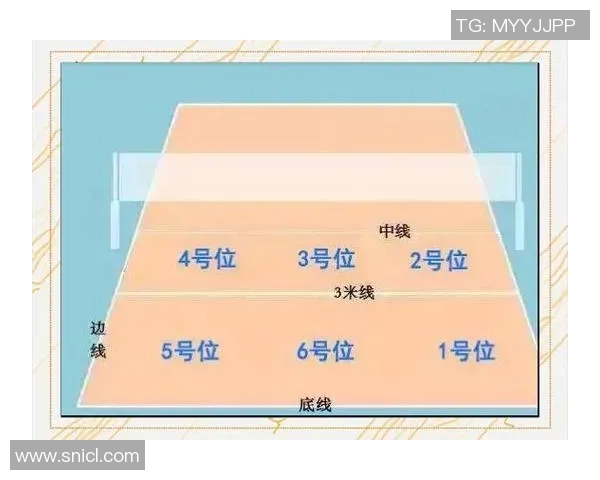 广州排球队的节奏体系与排球战术创新探索解析